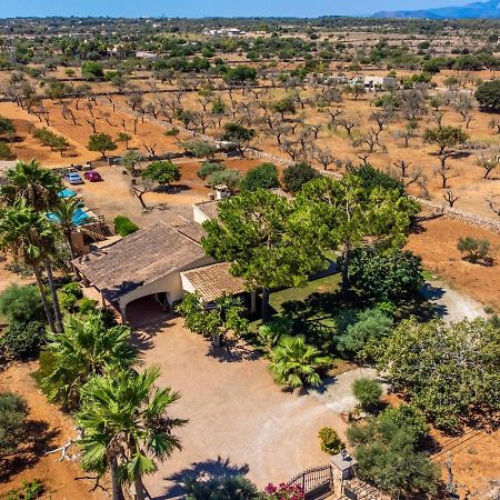 Holiday Home Clau De Sol - Pic160 By Interhome كان بيكافورت المظهر الخارجي الصورة